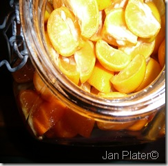 Jan,s Cooking Journey: \u0026quot;Gold Orange\u0026quot; the colour of fruit \u201cCumquats\u201d